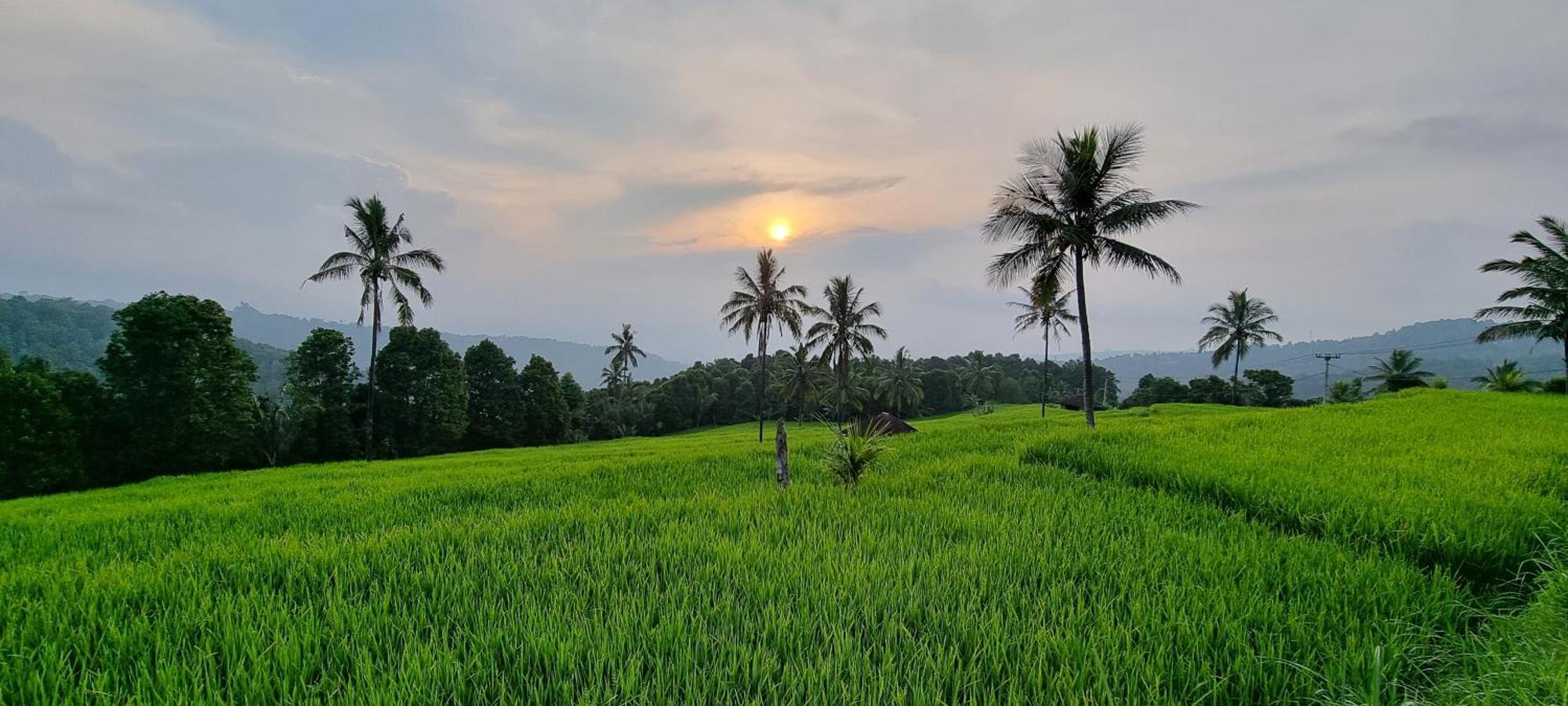 فيلا Utopiaku - Munduk Highlands المظهر الخارجي الصورة