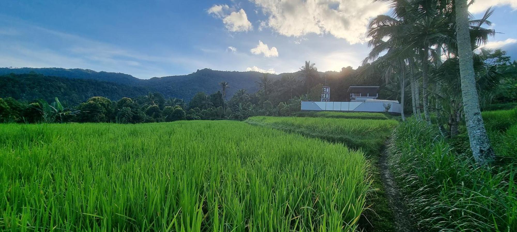 فيلا Utopiaku - Munduk Highlands المظهر الخارجي الصورة