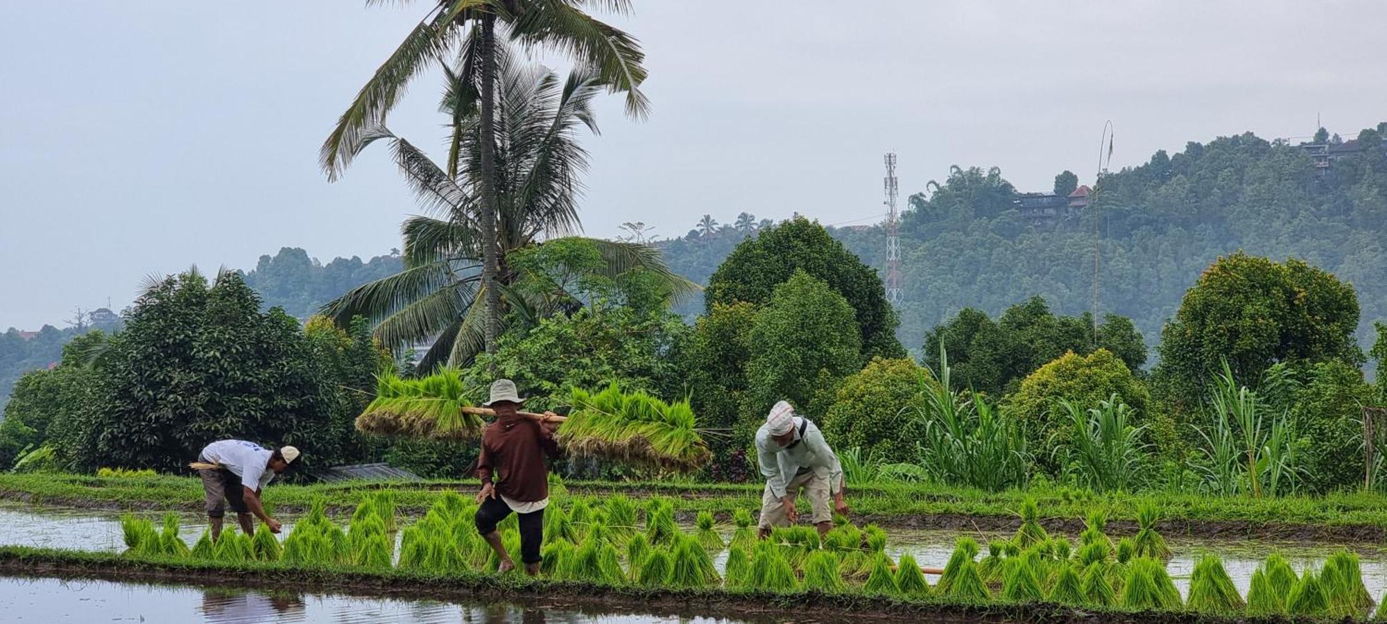فيلا Utopiaku - Munduk Highlands المظهر الخارجي الصورة