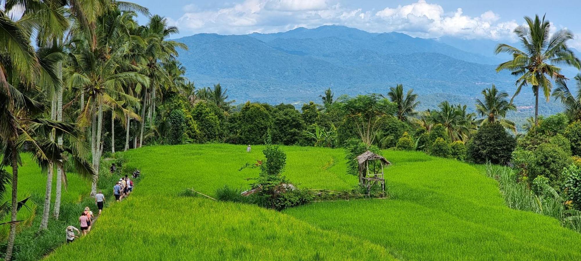 فيلا Utopiaku - Munduk Highlands المظهر الخارجي الصورة