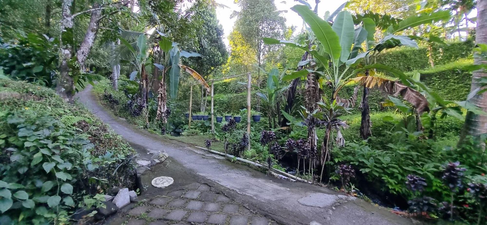 فيلا Utopiaku - Munduk Highlands المظهر الخارجي الصورة